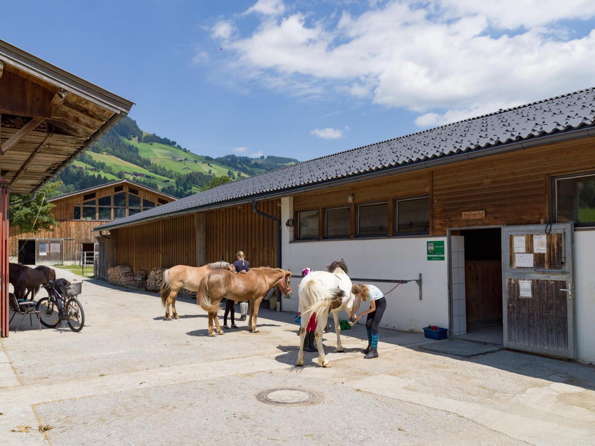 Appartements Haflingerhof Westendorf Exteriér fotografie